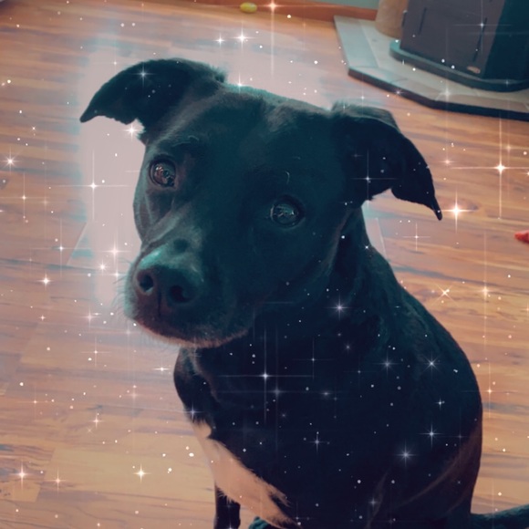 Meet your Posher, Tay - Picture 1 of 1